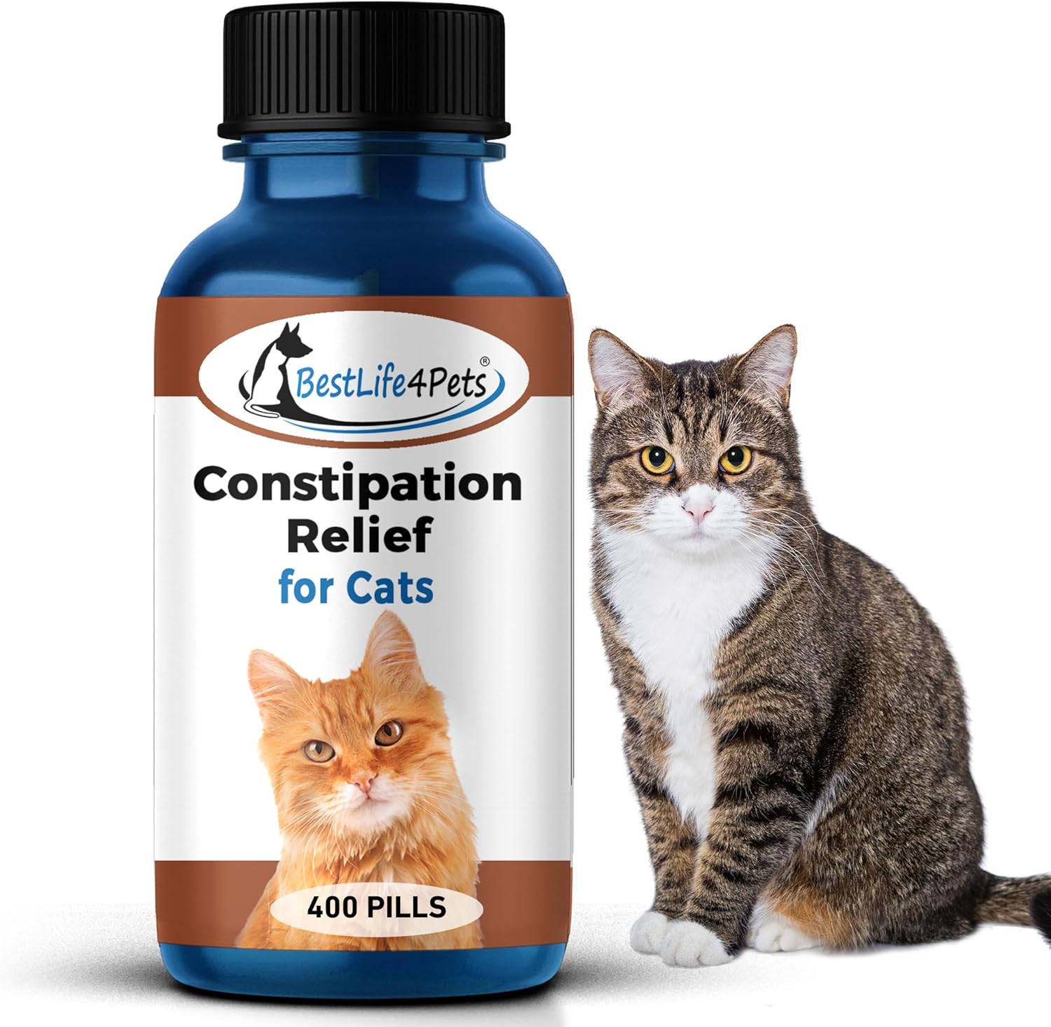 Constipation in 2025 cats remedy uk