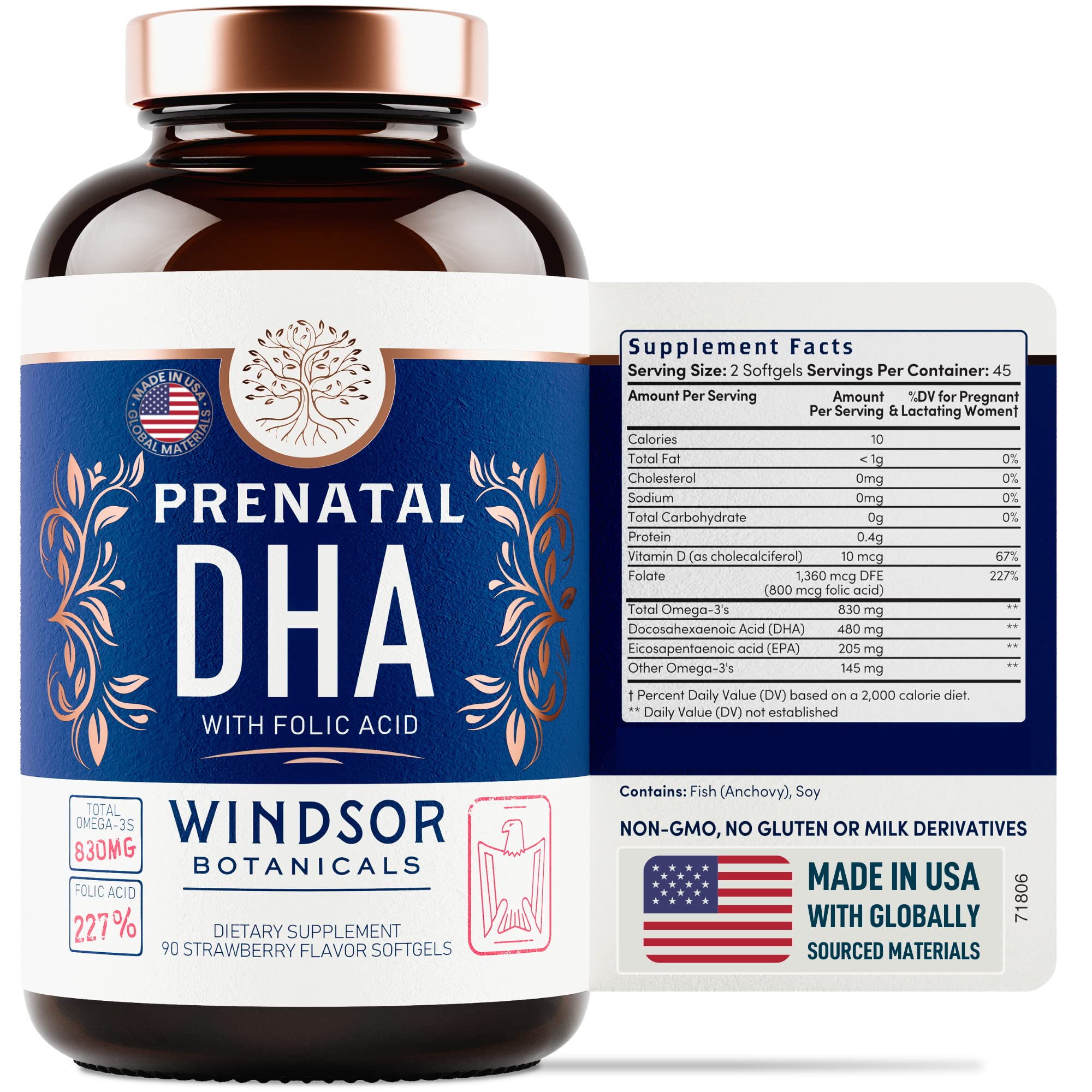 Prenatal Vitamins with DHA and Folic Acid Fetal Development and