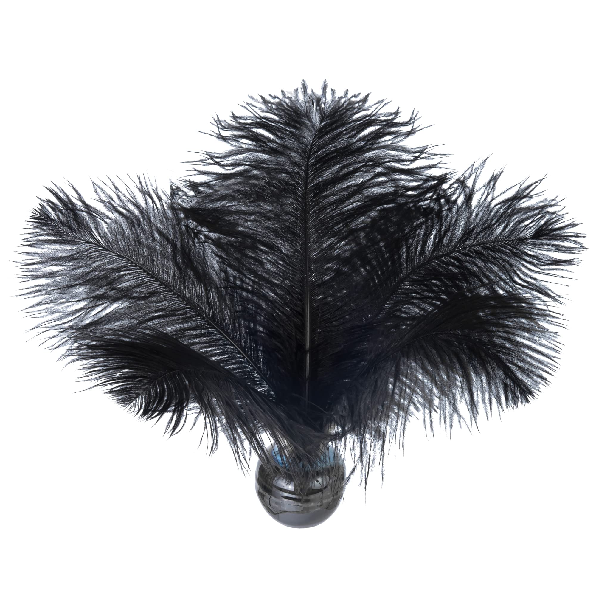Ostrich Feather Plumes