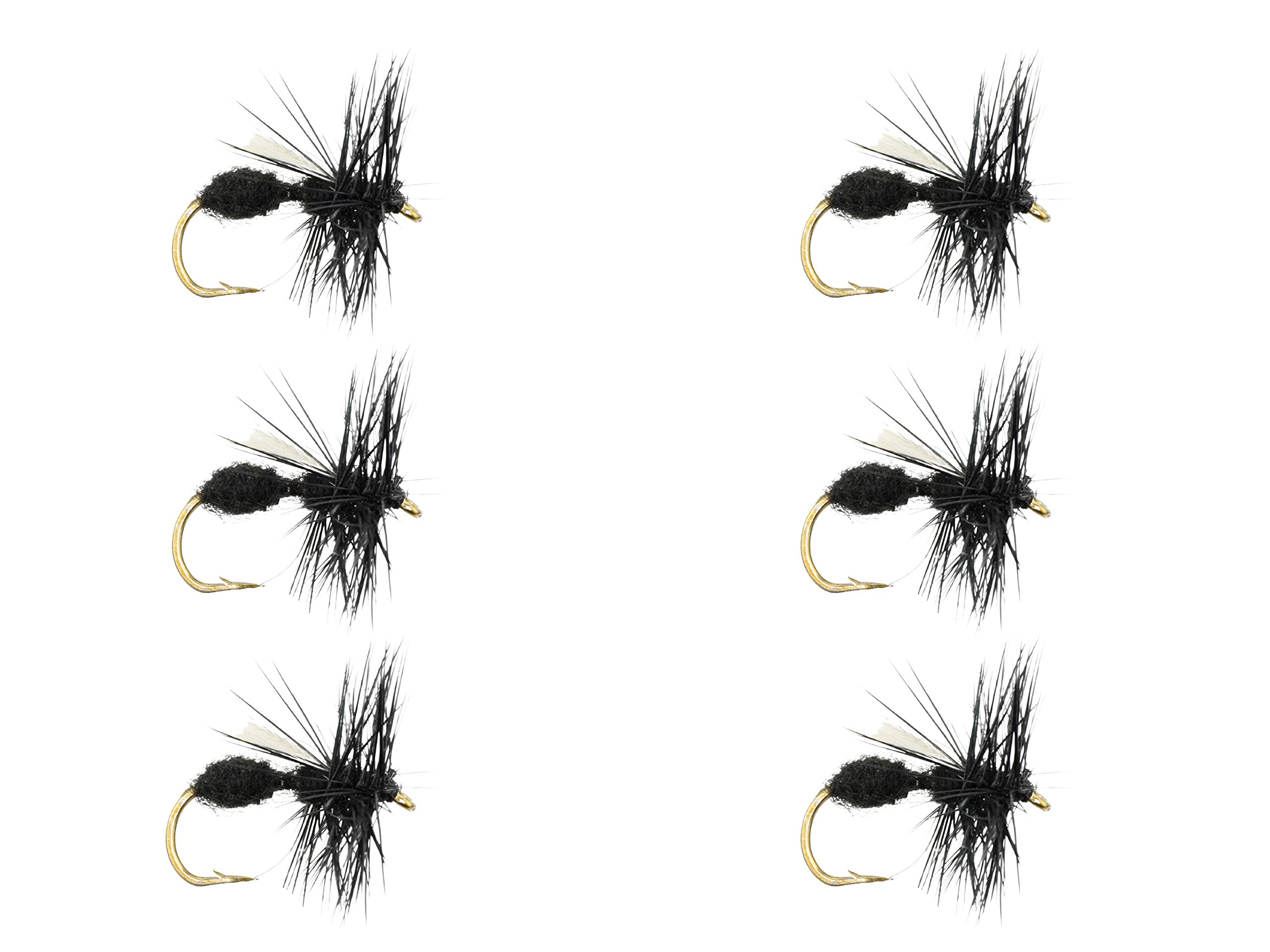 Wild Water Fly Fishing Dry Flies Size 10-14 for Trout, Panfish and Other  Lake & River Fish Black Winged Ant - Size 12 - 6 Pack