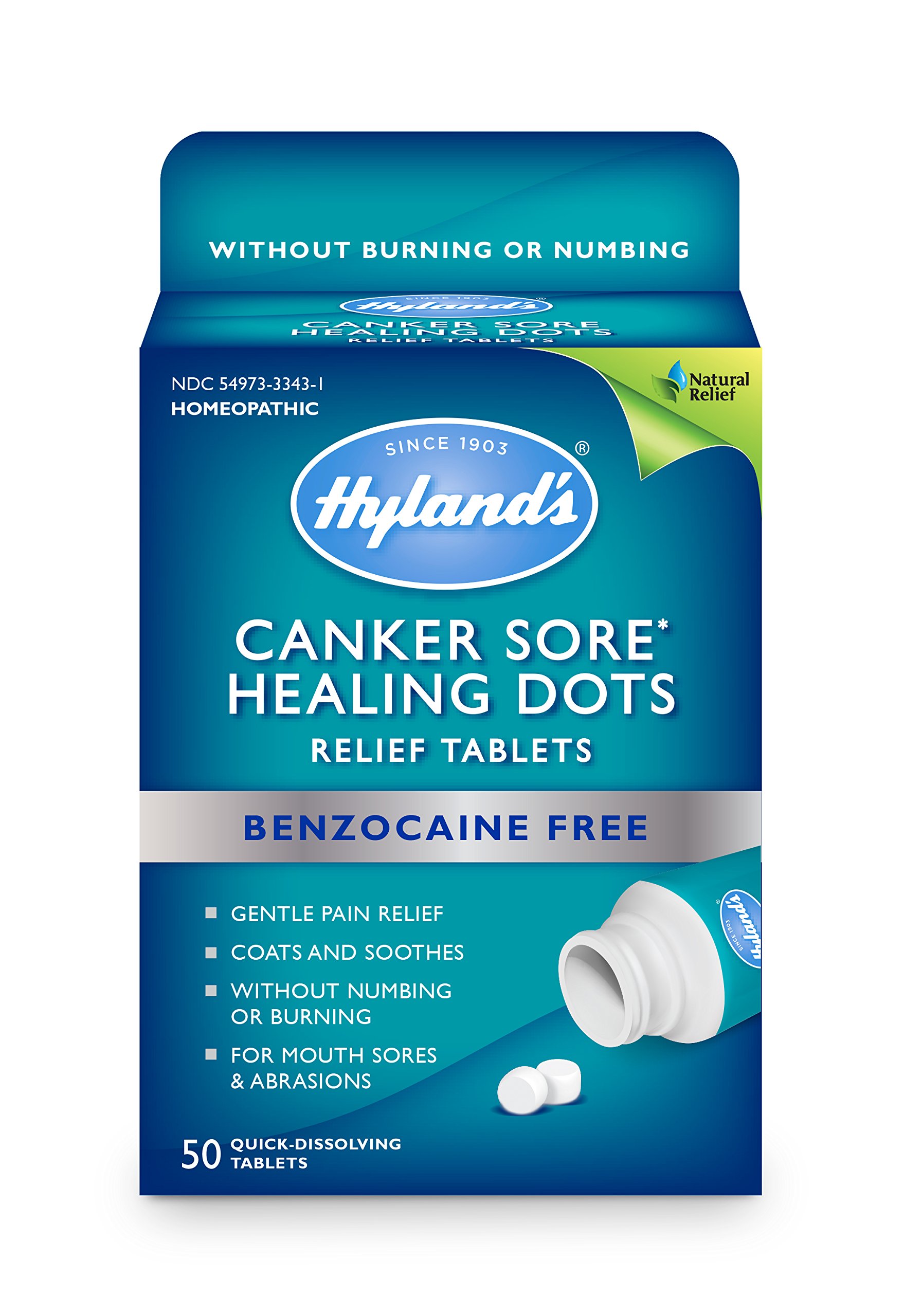 Canker Sore Relief Treatment By Hyland s Quick Dissolving Fast 