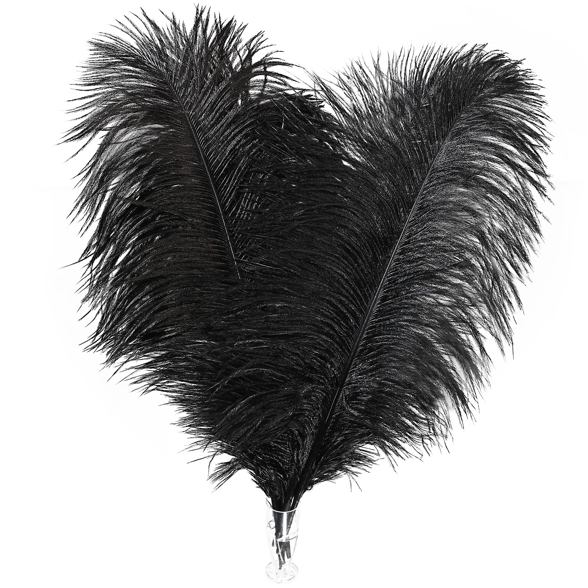 Soarer Black Ostrich Feathers Bulk - 30pcs 8-10 inches for Wedding Party  Centerpieces Home Decorations and DIY Crafts(Black) Black 8-10inch