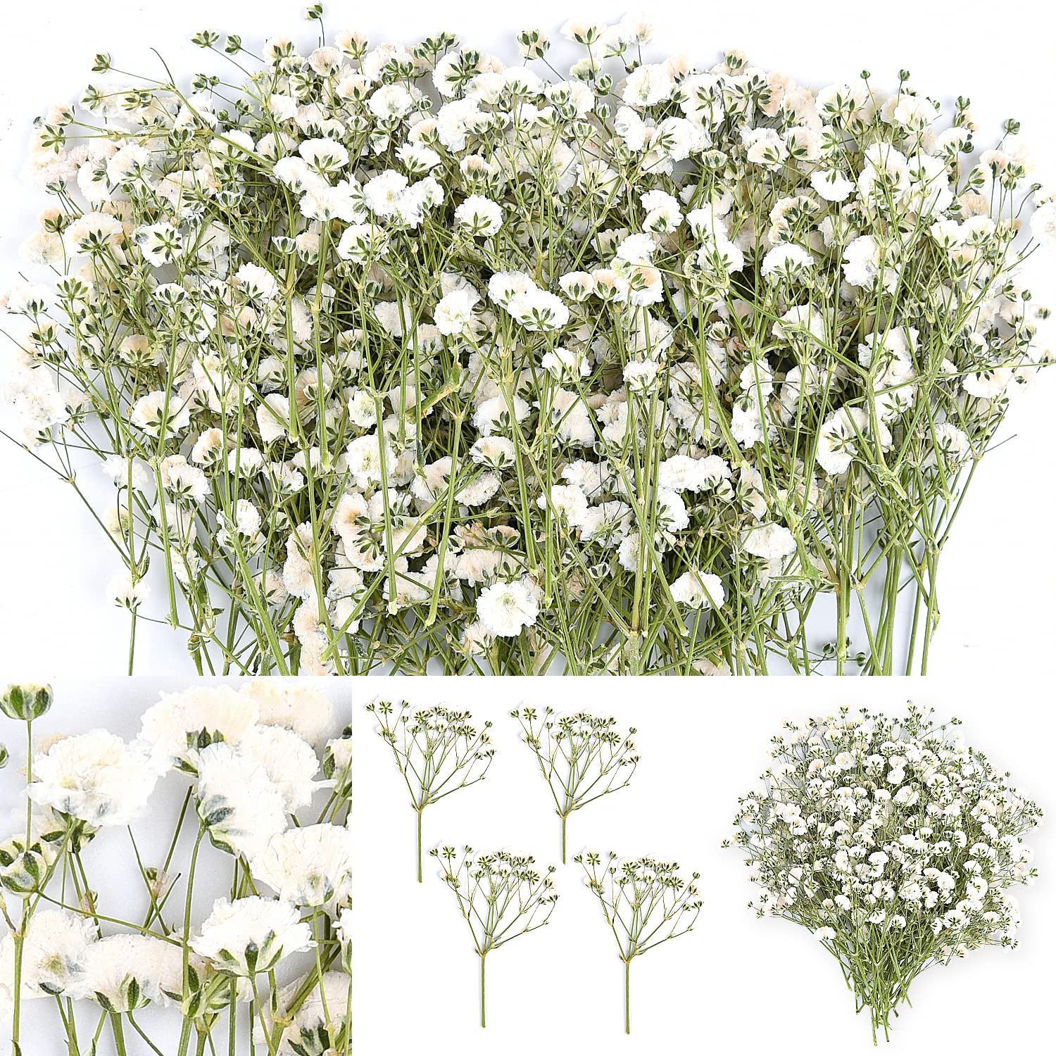 Dried Natural Flowers Bouquet, Dried Baby Breath Weddings