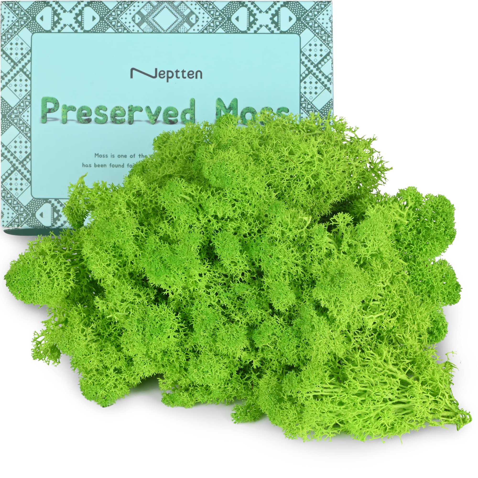 Neptten Preserved Moss, Moss for Fairy Garden, You can use Our Moss as  Decor Anywhere! The Ideas and Creativity for Our Product is  Limitless!(Chartreuse,3OZ) 3 OZ Chartreuse