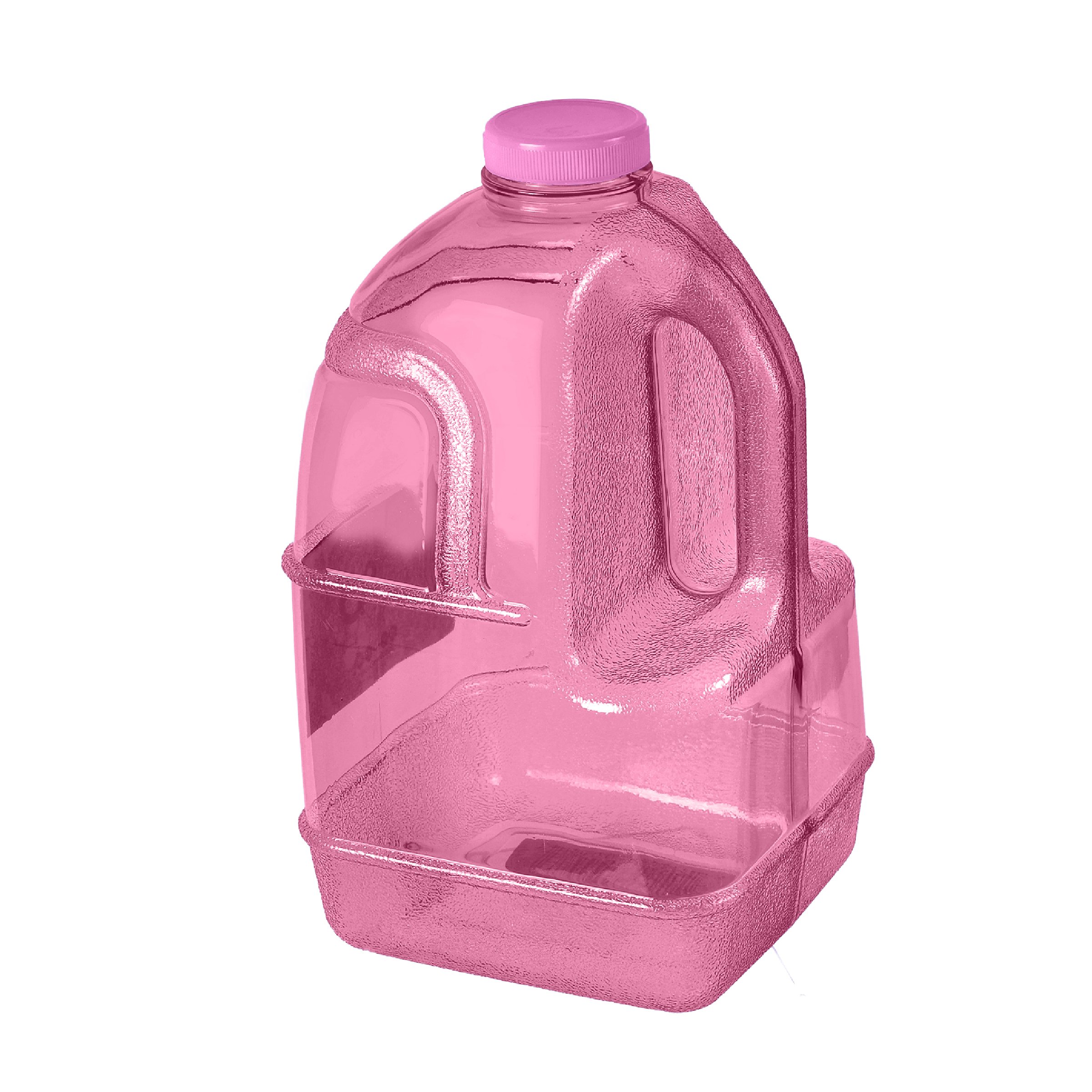 BPA-Free 1 Gallon Bottle