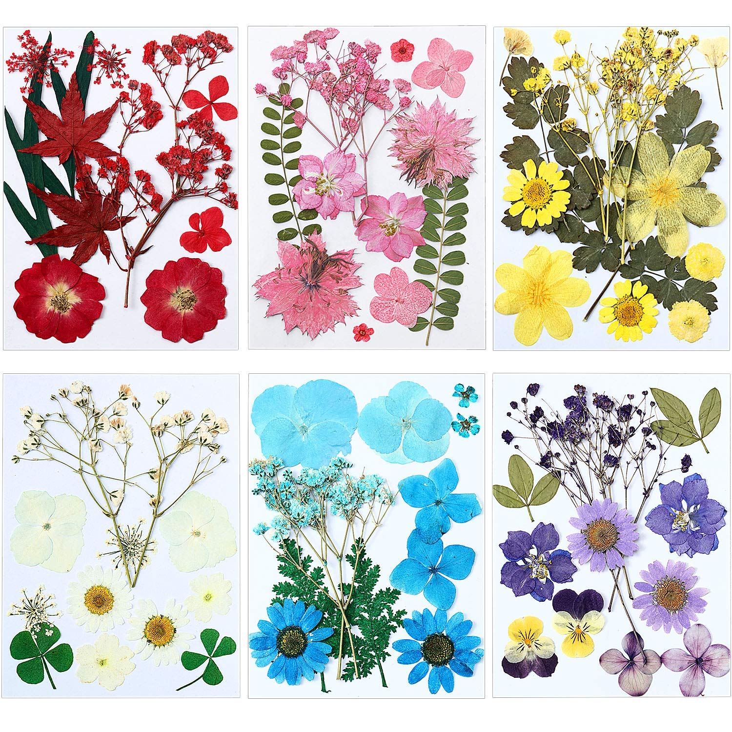 Real Dried Flowers - DIY Resin Flower Art Craft Candle Making Home