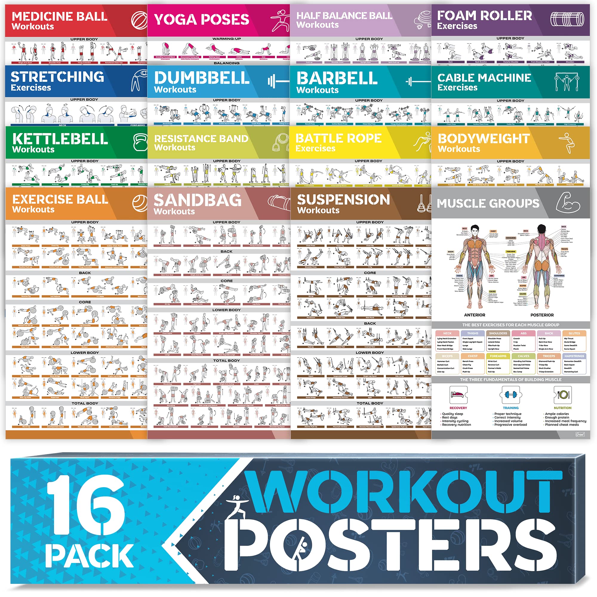 16-PACK Laminated Large Workout Poster Set - Perfect Workout