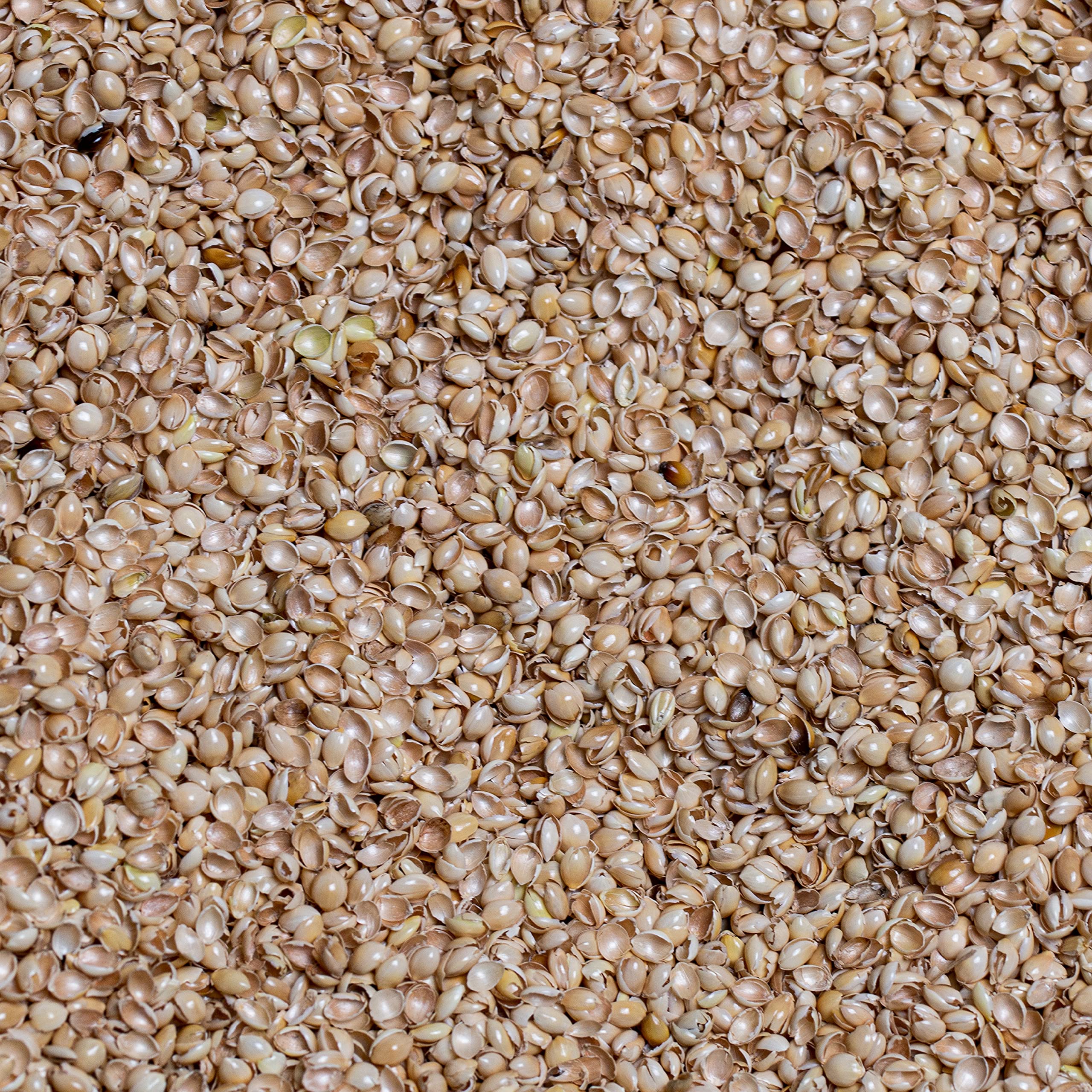 Bean Products Buckwheat Hull Filling (1 lb)
