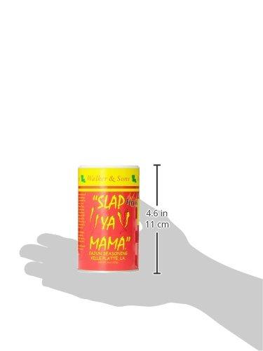  Slap Ya Mama Cajun Seasoning from Louisiana, Hot Blend, No MSG  and Kosher, 8 Ounce Can : Grocery & Gourmet Food