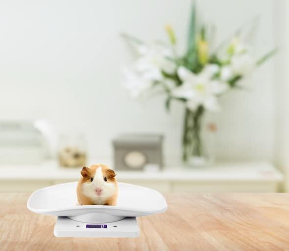 YTDTKJ Digital Pet Scale,Small Animal Scale with LCD Display,Multifunction  Kitchen Food Scale,Grams Weight Max 22 lbs for Hamster Tortoise Lizard