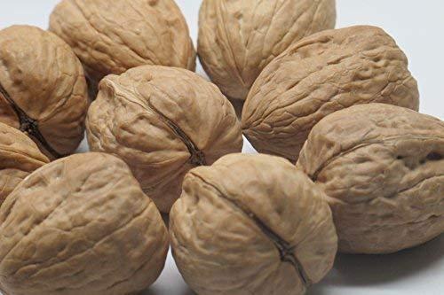 Whey Better Nuts (WALNUTS) 160g - Feel Well