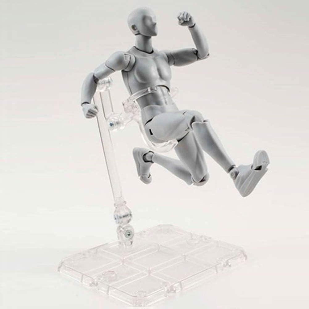 Body Kun DX Set Male Female Gray Color Body-Chan Action Figure Model Set  PVC Figure Model Drawing for SHF SH Figuarts