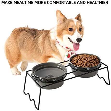 Yosoo Health Gear Raised Dog Bowl for Small Dogs and Cats, Dog Food and Water  Bowls