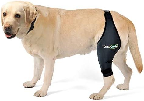 Ortocanis Front Leg Splint for Dogs