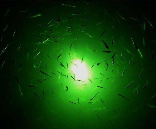 Buy JWBOSS Fishing Green Light DC 12V Fishing LED LED Underwater Attracting  Fish Lamp Submersible Night Tackle Water Crappie Online at desertcartCayman  Islands
