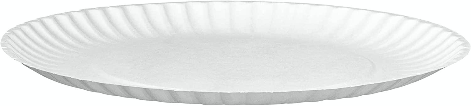Fonteme 9-Inch Disposable Paper Plates – 300 Count | White & Uncoated  Microwavable Bulk Paper Plates | Perfect for Everyday Meals, Parties, and