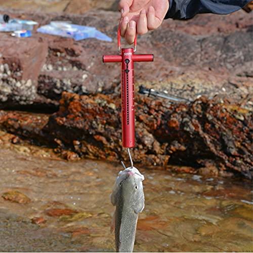  Booms Fishing G11 Fish Gripper with Scale : Sports & Outdoors