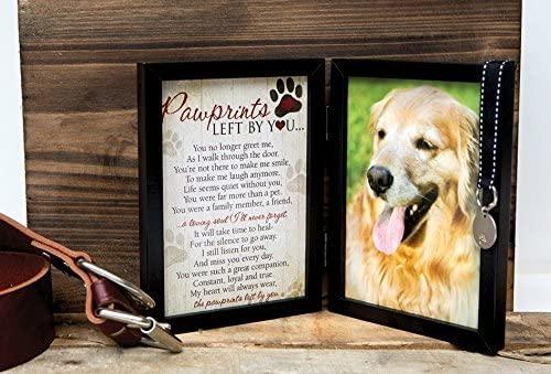 Pet Memorial Display Case with 5x7 Photo Print and Custom Engraving -  Perfect Cases and Frames