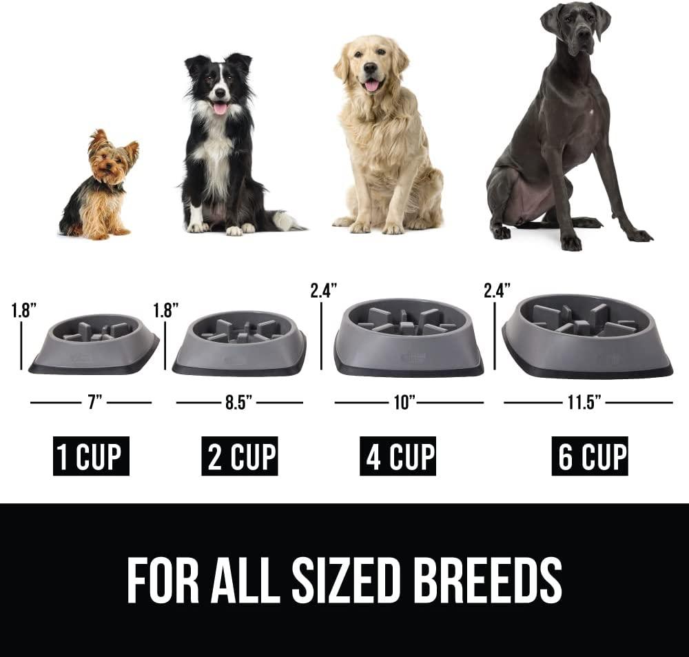 Gorilla Grip Slip Resistant Slow Feeder Dog Bowl, Slows Down Mealtime,  Improve Pets Digestion, Healthy Eating Habit, Prevent Dogs and Cats from  Overeating, for Dry, Fresh, Wet Pet Food 2 Cup Gray