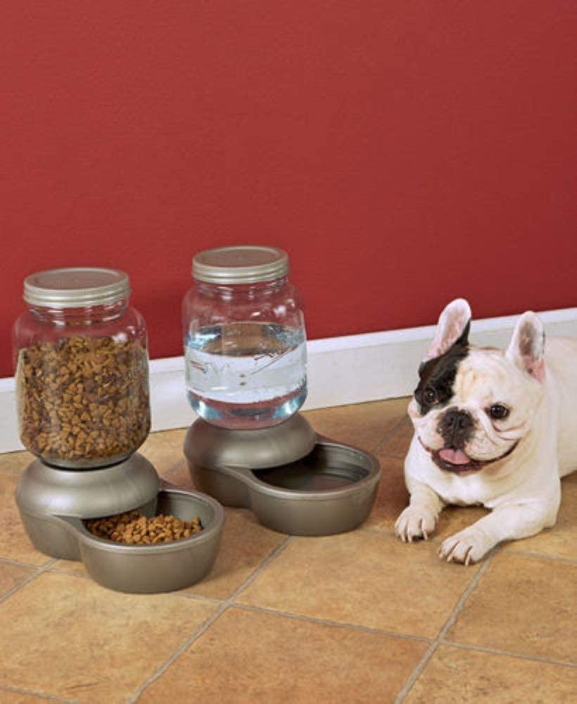 Petmate 1-Gallon Mason Jar Gravity Pet Waterer