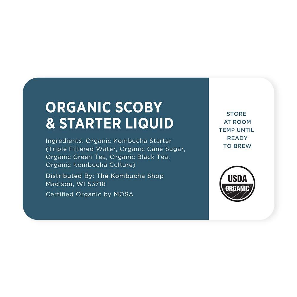 USDA Certified Organic Kombucha Scoby