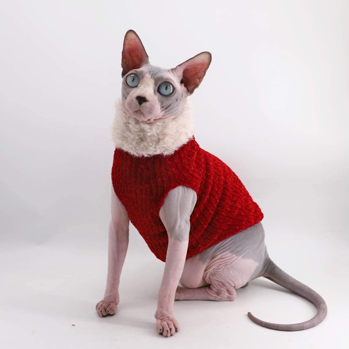 Cat Wearing Winter Cloth  Sphynx Cat Winter Coat, Reversible Fleece