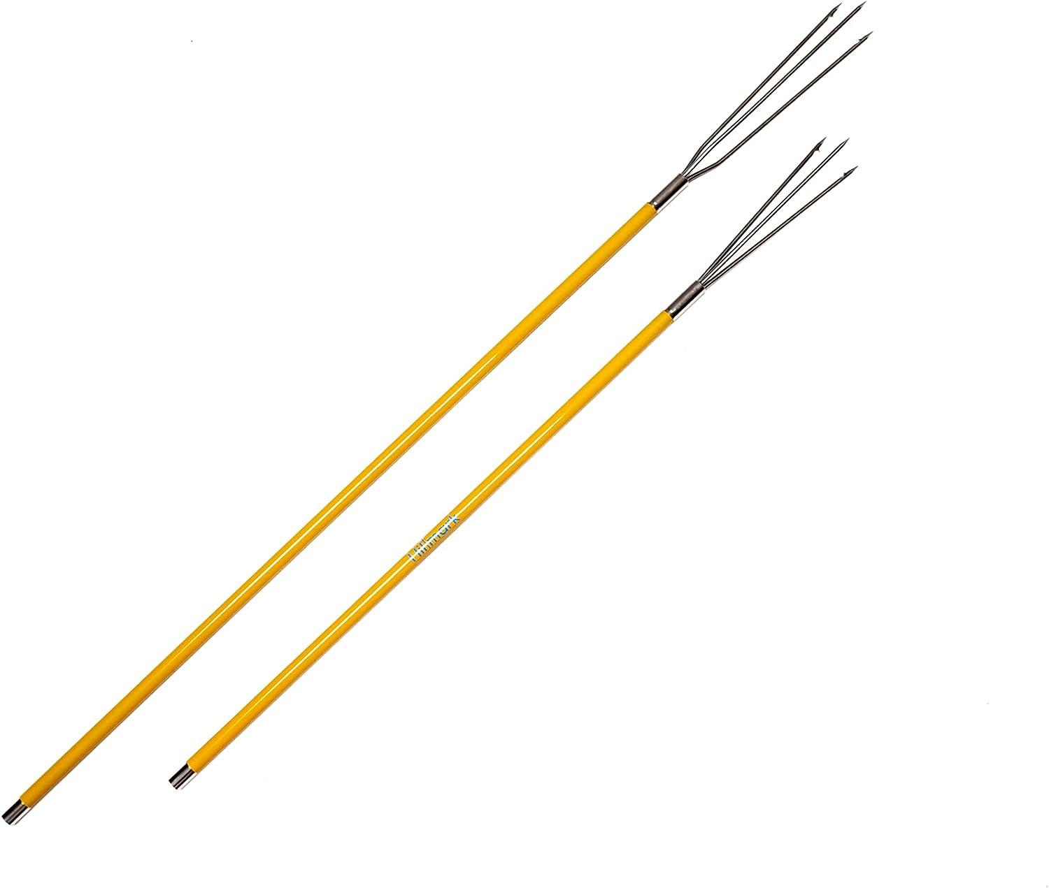 Hawaiian Sling Fishing Spear Set - 3 Piece Travel Fiberglass Pole Spear  Harpoon for Fishing with Stainless Steel Single Barb, Lionfish & Paralyzer  Tips - Also Includes Fishing Stringer & Travel Bag