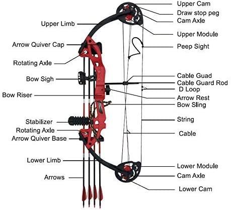  Bowfishing Bow Kit with Arrow Ready to Shoot , Compound Bowfishing  Bow Ready to Fish Kit Right Handed 15-45 LBS Draw Length 18~29.5  Adjustable : Sports & Outdoors