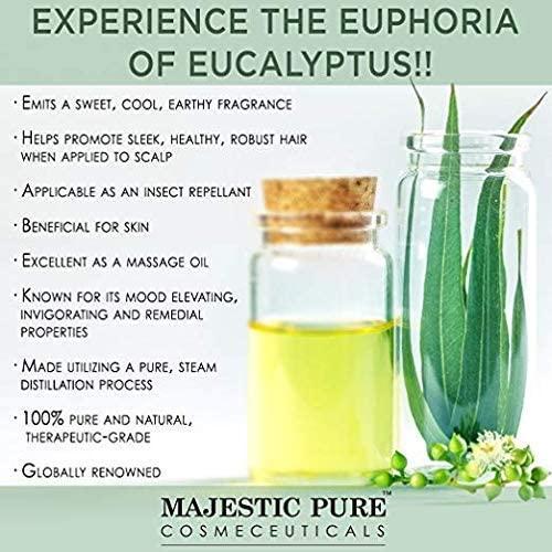 Eucalyptus Essential Oil (2-Pack)