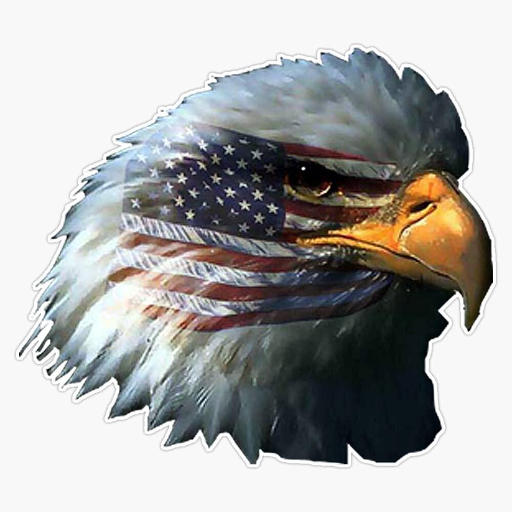 Wallstickers4you Large Vinyl Wall Decal American Bald Eagle Flag India