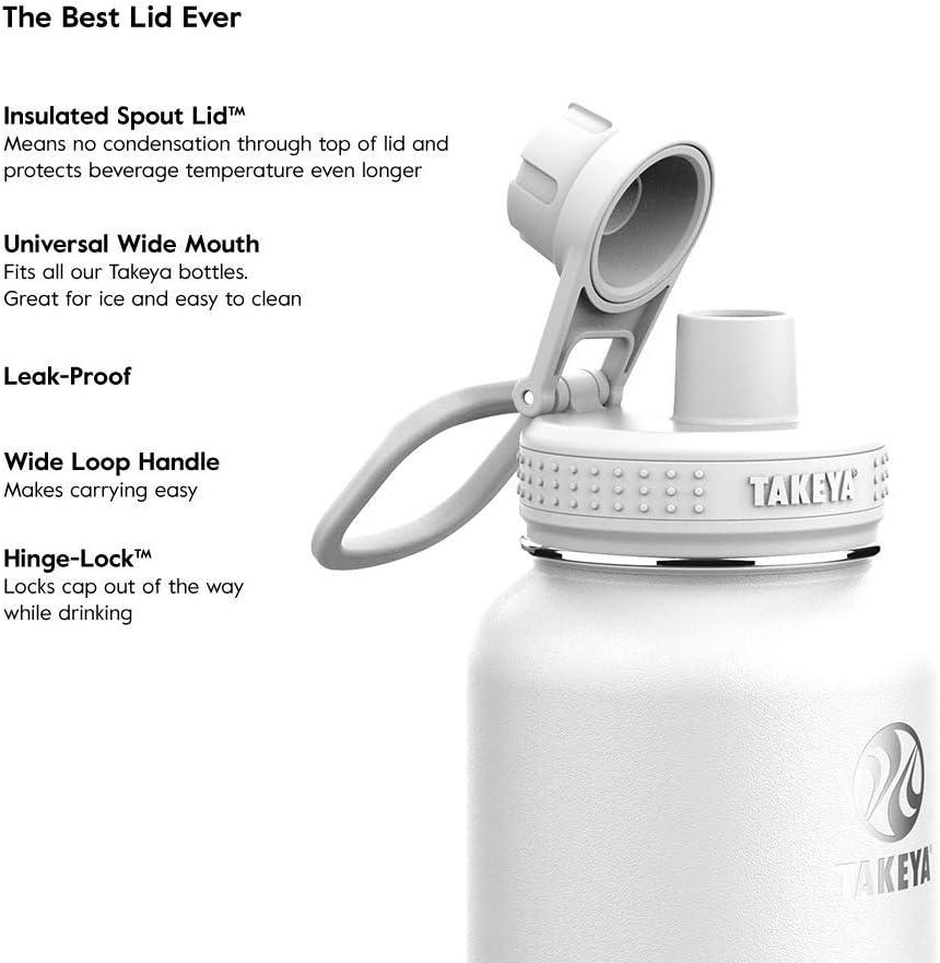 Takeya 24 oz Chill-Lock Onyx BPA Free Insulated Protein Shaker
