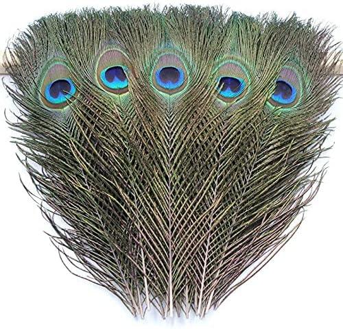 1/5/10pcs Beautiful High Quality Natural Peacock Feather Eye Feathers  Decoration