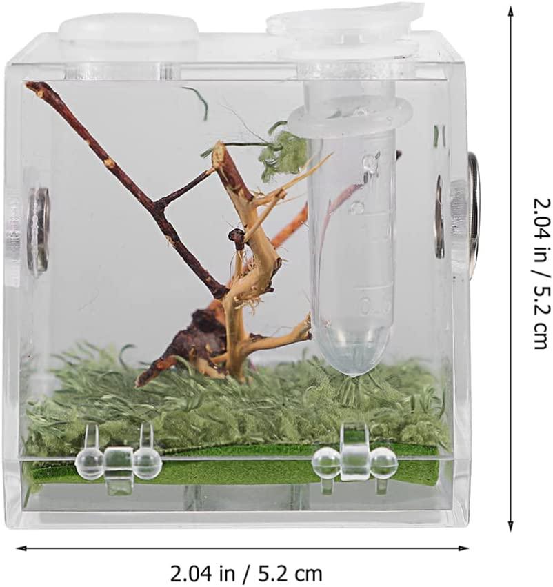 Durable Acrylic Enclosure for Jumping Spiders, Snails, and Reptiles -  Perfect for Terrariums and Housing Accessories