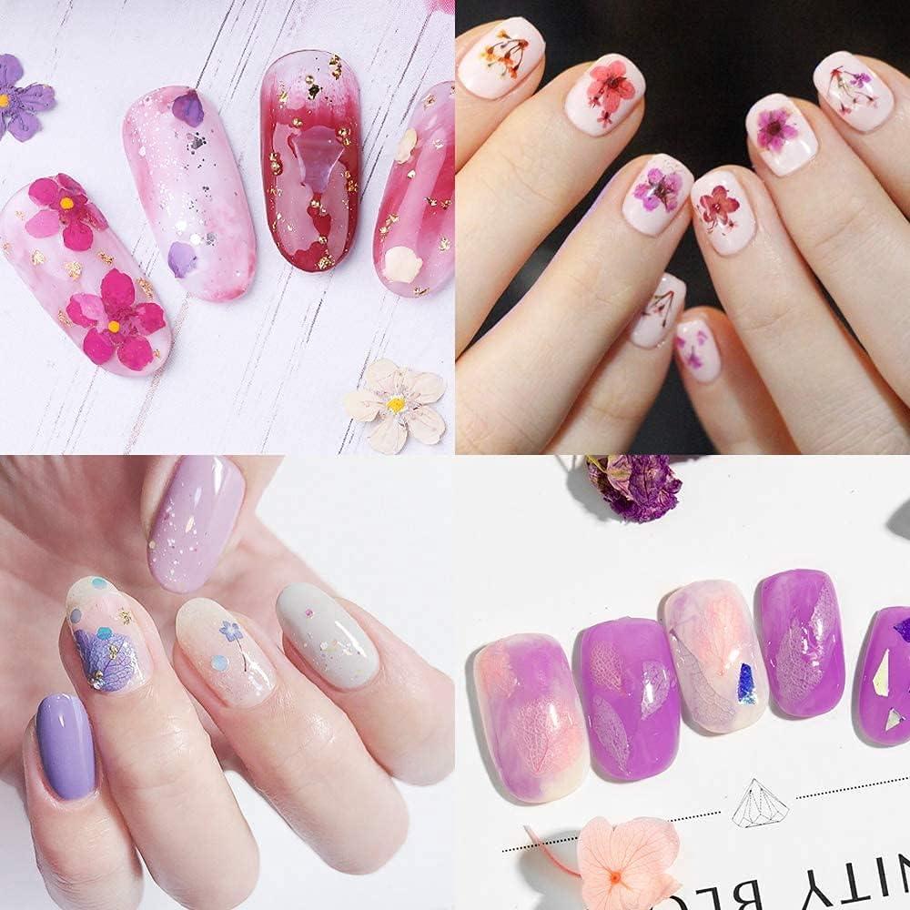 10PCS X Dried Flowers for Nail Art Embedding - Individuals Colours (13  Colours)