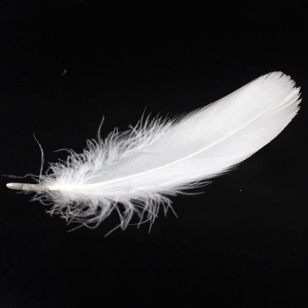HaiMay 450 Pieces White Feathers for Craft Wedding Home Party Decorations,  3-5 Inches White Craft Feathers
