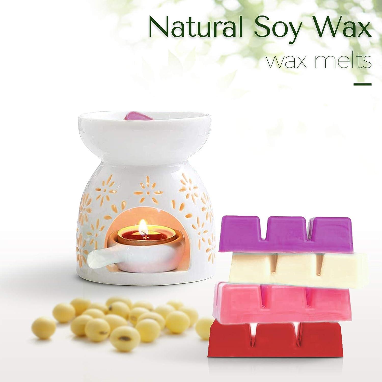 6 Best Wax Melts for a Relaxing Home Ambiance