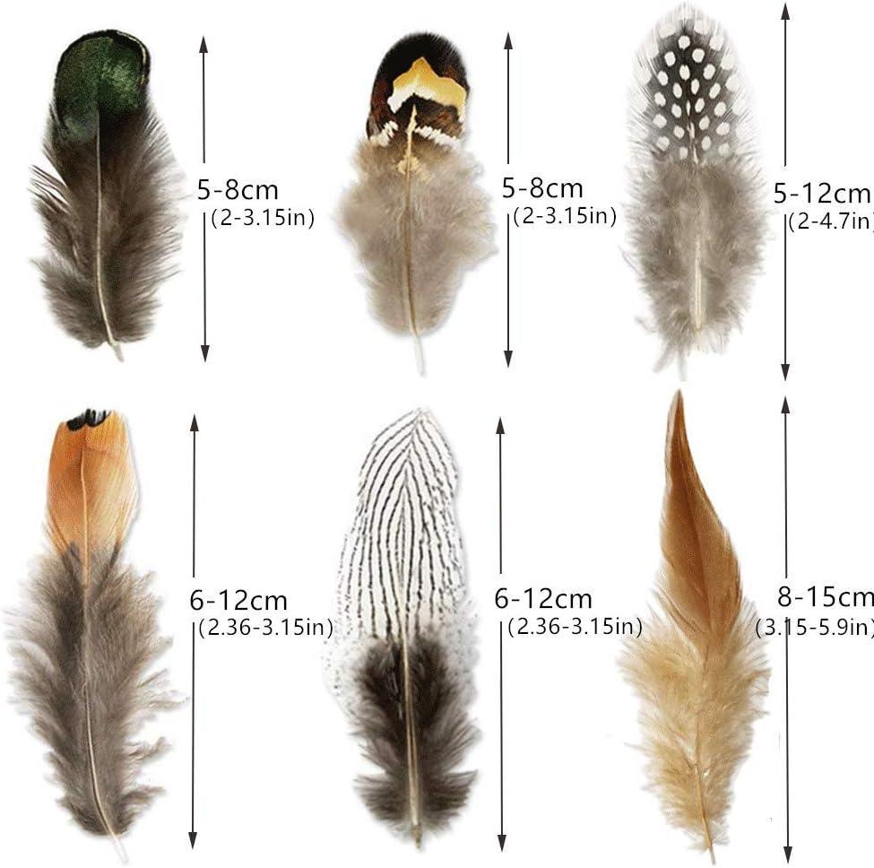 180pcs 6 Style Natural Feathers Assorted Mixed Feathers for Dream Catcher  Crafts Decoration (6 Styles/180 Pcs)