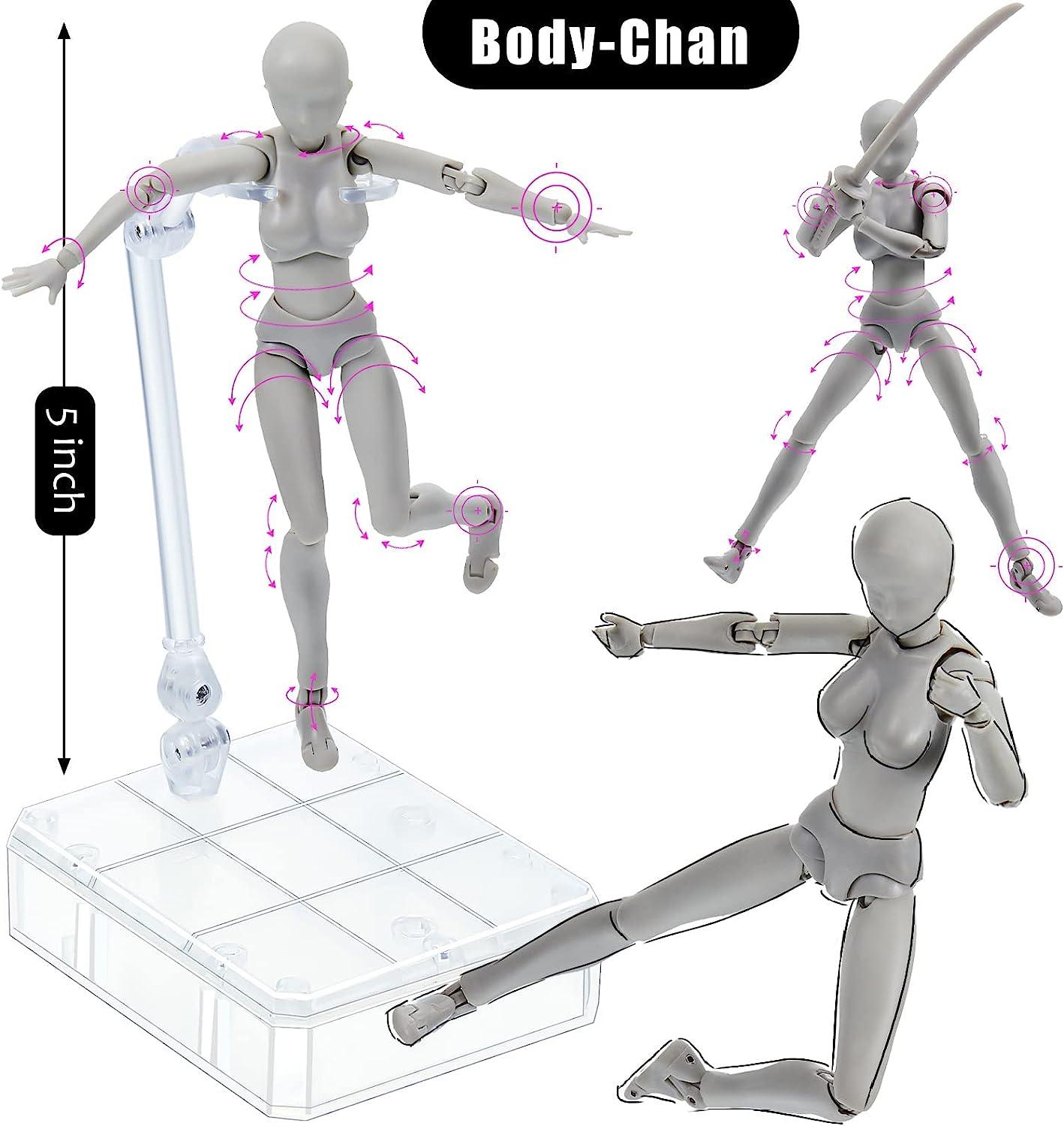 S.H.Figuarts Body-kun DX Set  Figure drawing models, Figure drawing  reference, Drawing reference poses