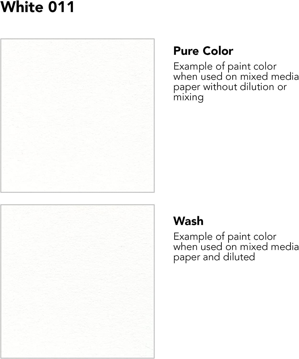 Daler-Rowney FW Acrylic Ink Bottle White - Versatile Acrylic Drawing Ink  for Artists and Students - Permanent Calligraphy Ink - Archival Ink for  Illustrating and More
