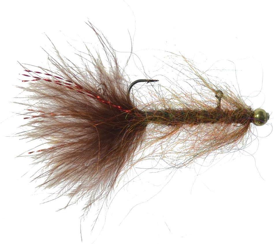 The Fly Fishing Place Balanced Leech Fly Collection Size 8 - Set of 6 - 2  Colors - Bead Head Jig Lake Streamer Wet Flies