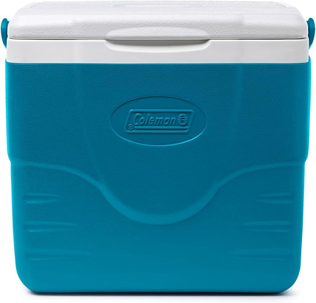 Coleman Blue Insulated Drink Carrier in the Portable Coolers department at