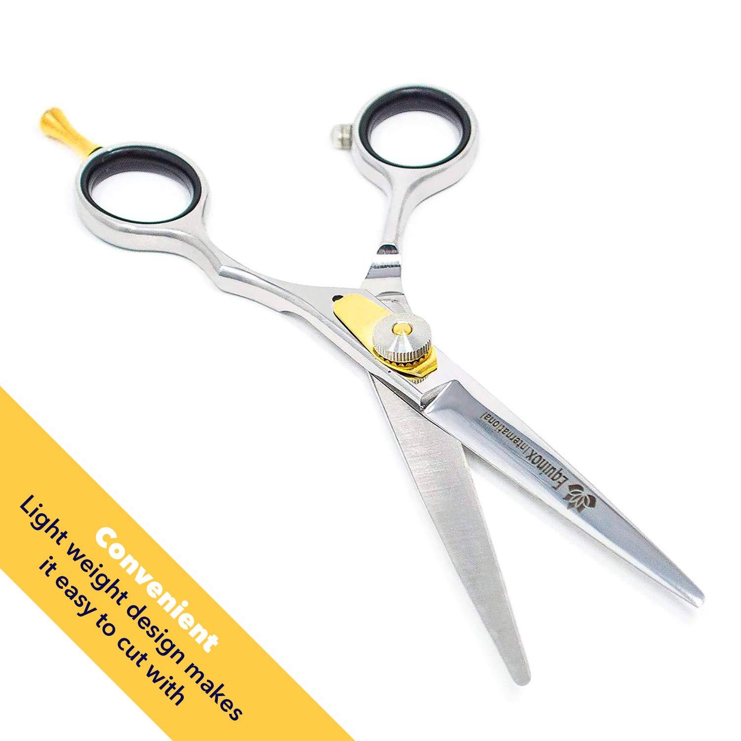 Hair Cutting and Thinning/Texturizing Scissors/Shears Set – Equinox  International