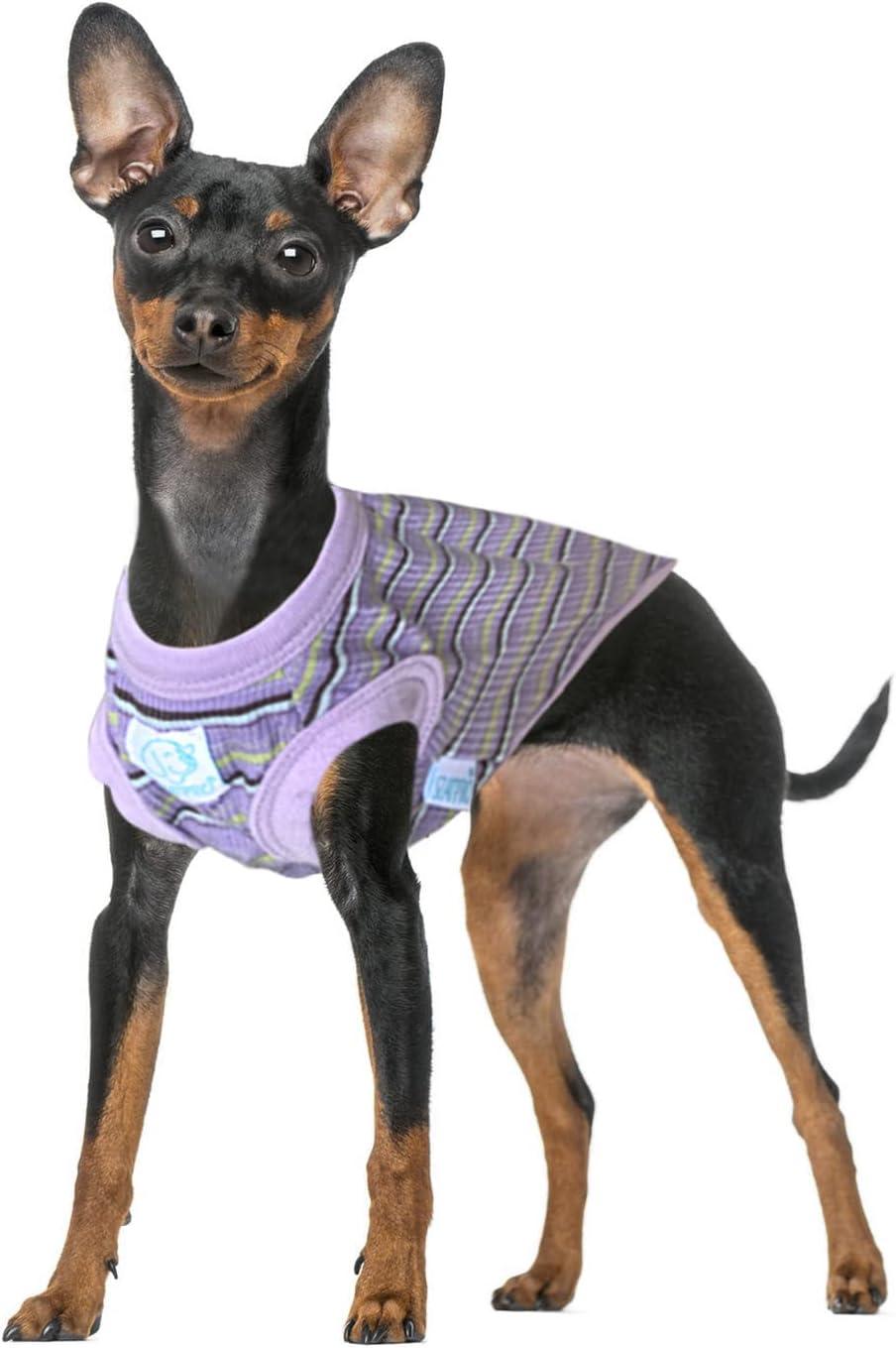  SZAT PRO Striped Teacup Pet Dog T-Shirts, 100% Cotton Tank  Vest for Small Dogs and Cats, Sleeveless Puppy Clothes for Chihuahua Yorkie  Purple,X-Small : Pet Supplies