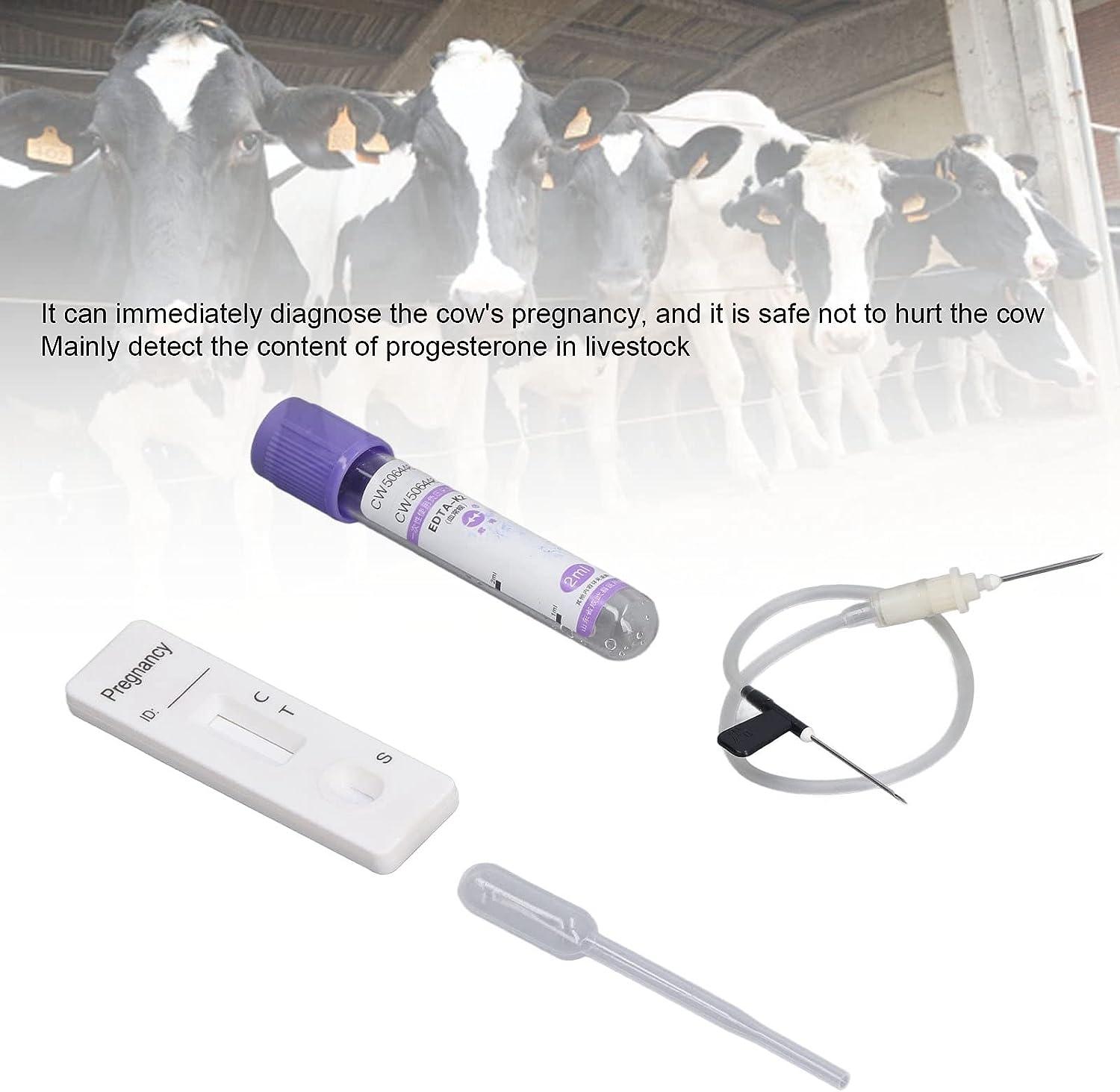 Cow Pregnancy Test Bovine Cow Rapid Early Pregnancy Test Kit Pregnancy Test Card Livestock