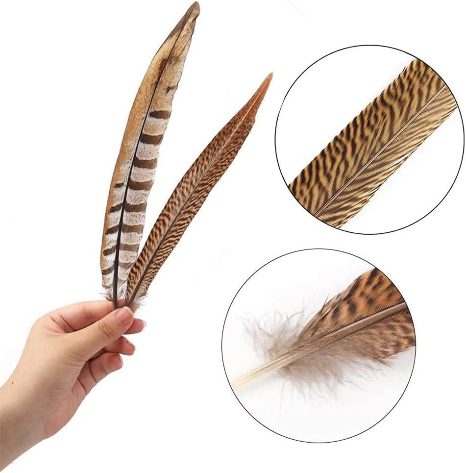 Flying Feathers Natural Pheasant Feathers 4 Style 15-20cm 12pcs Natural  Feathers for DIY Craft Home Party Decorations FF03
