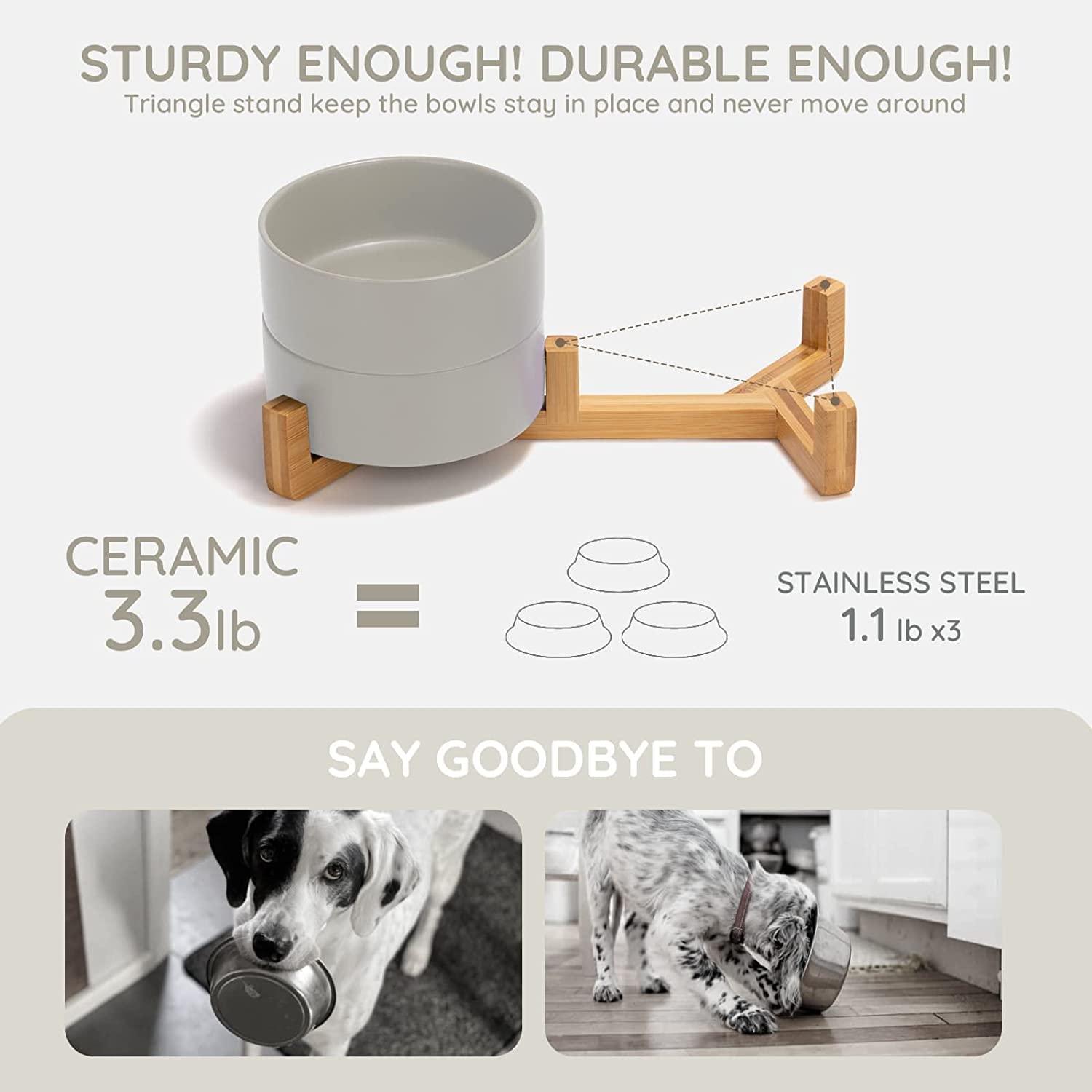 Premium Ceramic Dog Bowls & Cat Bowls – SpunkyJunky