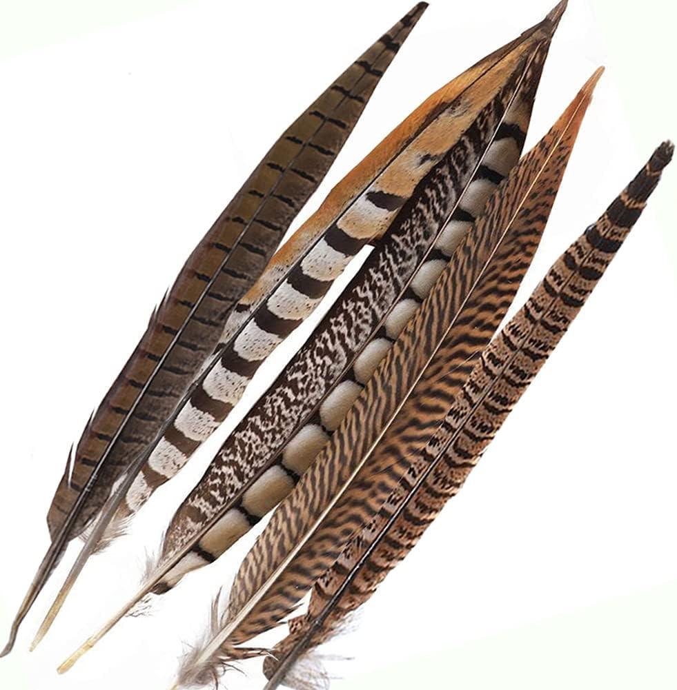EUBUY 100pcs Pheasant Feathers Colorful Pheasant Stripe Feathers DIY  Feathers Handmade Accessories Clothes Accessories Dark Green 