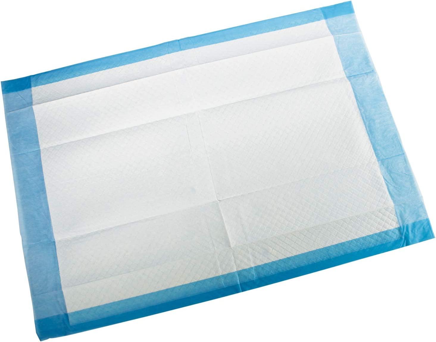 Disposable Absorbent Underpads, 17 x 24, Pack of 100