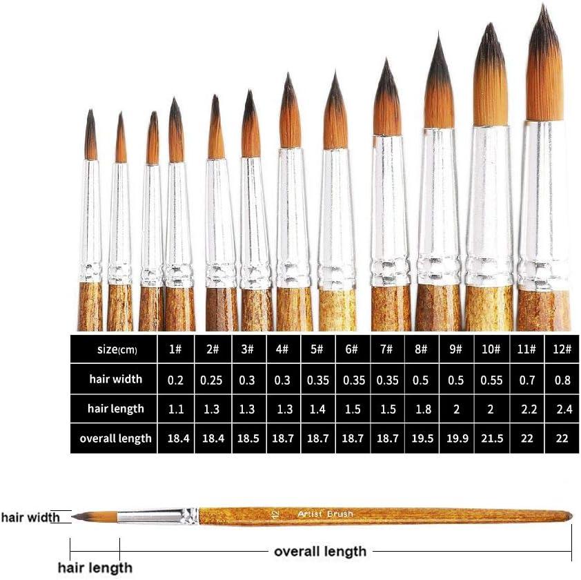 FENORKEY Artist Watercolor Paint Brushes, Round Pointed Tip Paint Brushes Set, 12pcs Different Sizes Detail Paint Brush for Watercolor, Acrylics, Ink