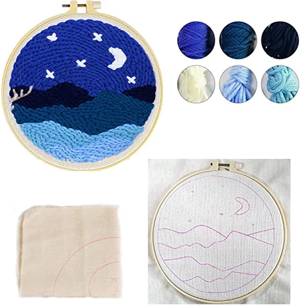 FISHEVO 2 Pcs Punch Needle Embroidery Starter Kits DIY Punch Needle Craft  Embroidery Pattern Cloth Pen